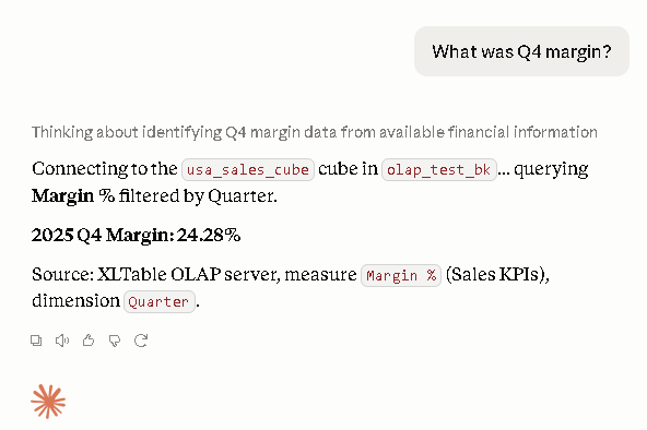 AI chat answering “What was Q4 margin?” with the same 24.28% from the same cube